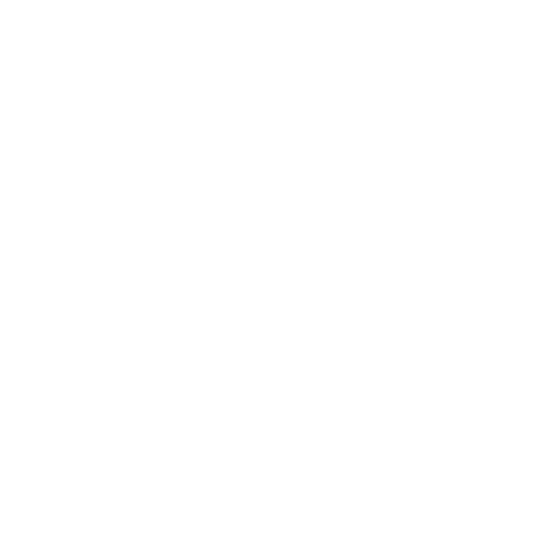 Debit Icon