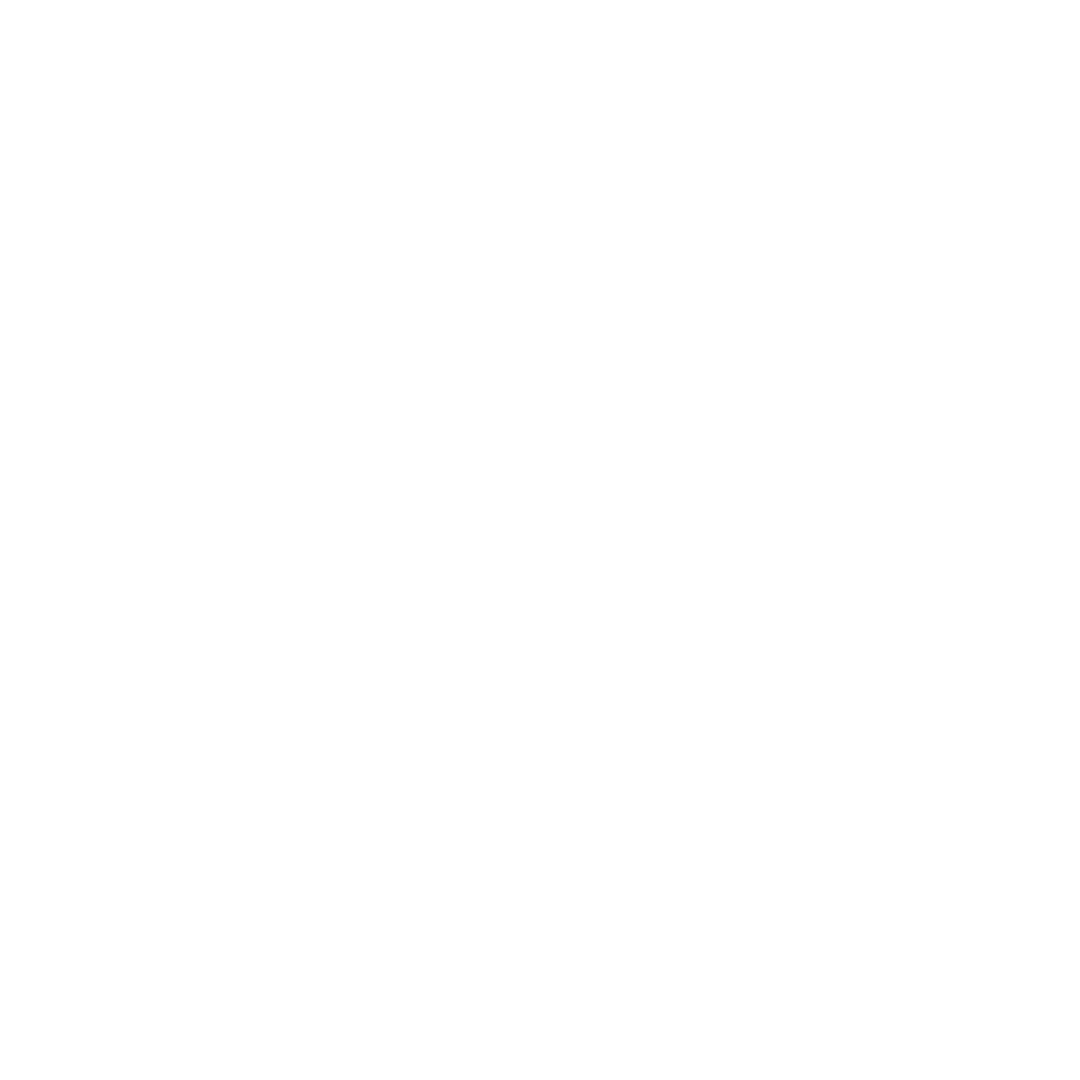 Settlement Icon